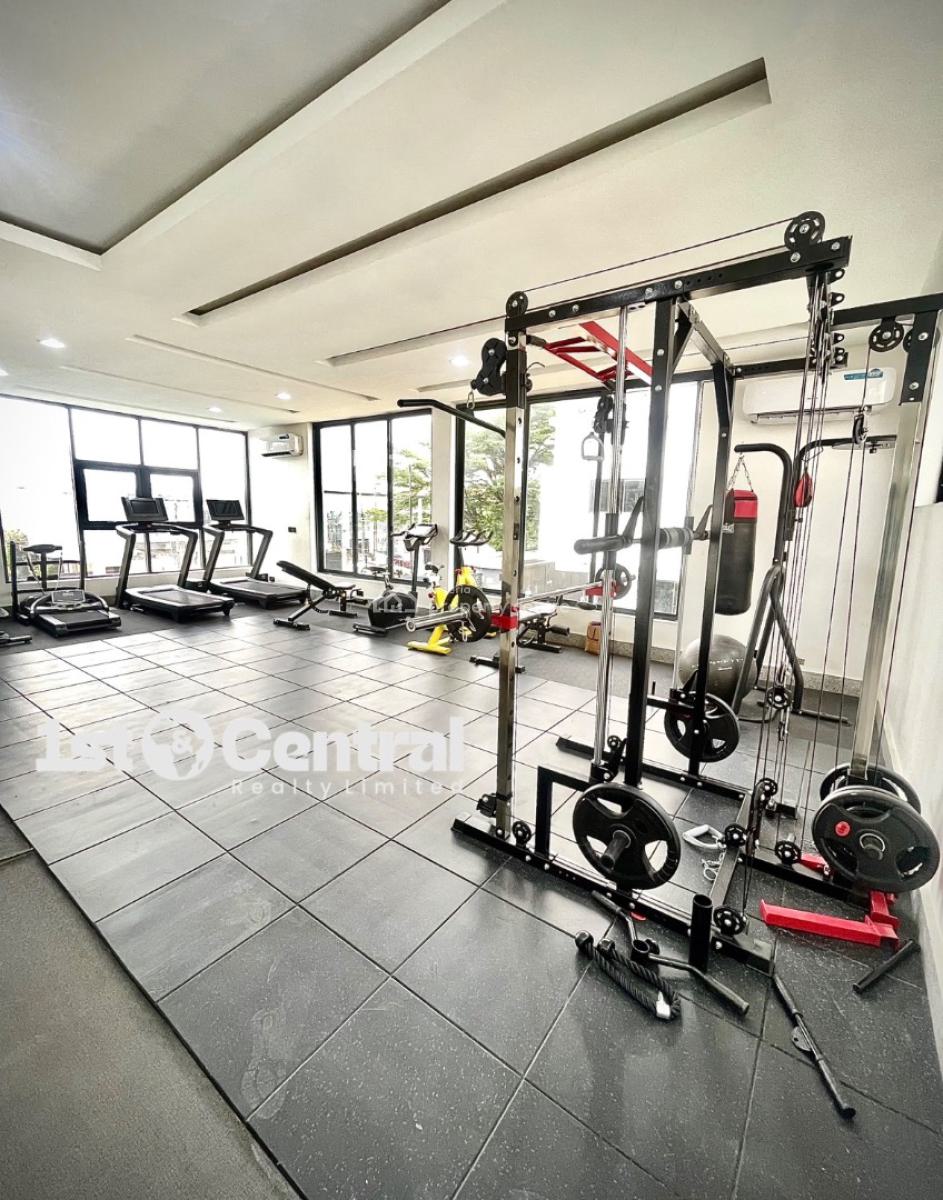 Brand New 4 Bedrooms +1 Bq Terrace Duplex, Old Ikoyi, Ikoyi, Lagos, Terraced Duplex for Rent