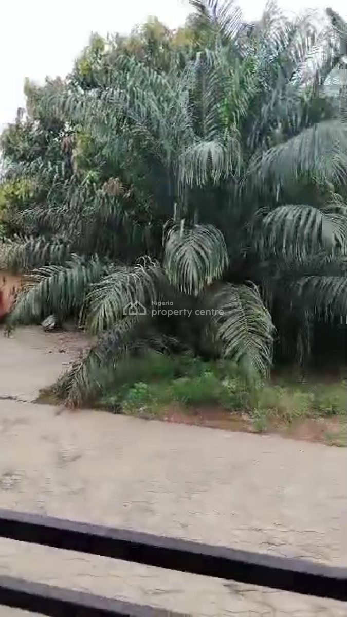 3 Bedroom Bungalow, Peace Estate, Baruwa, Ipaja, Lagos, Detached Bungalow for Sale