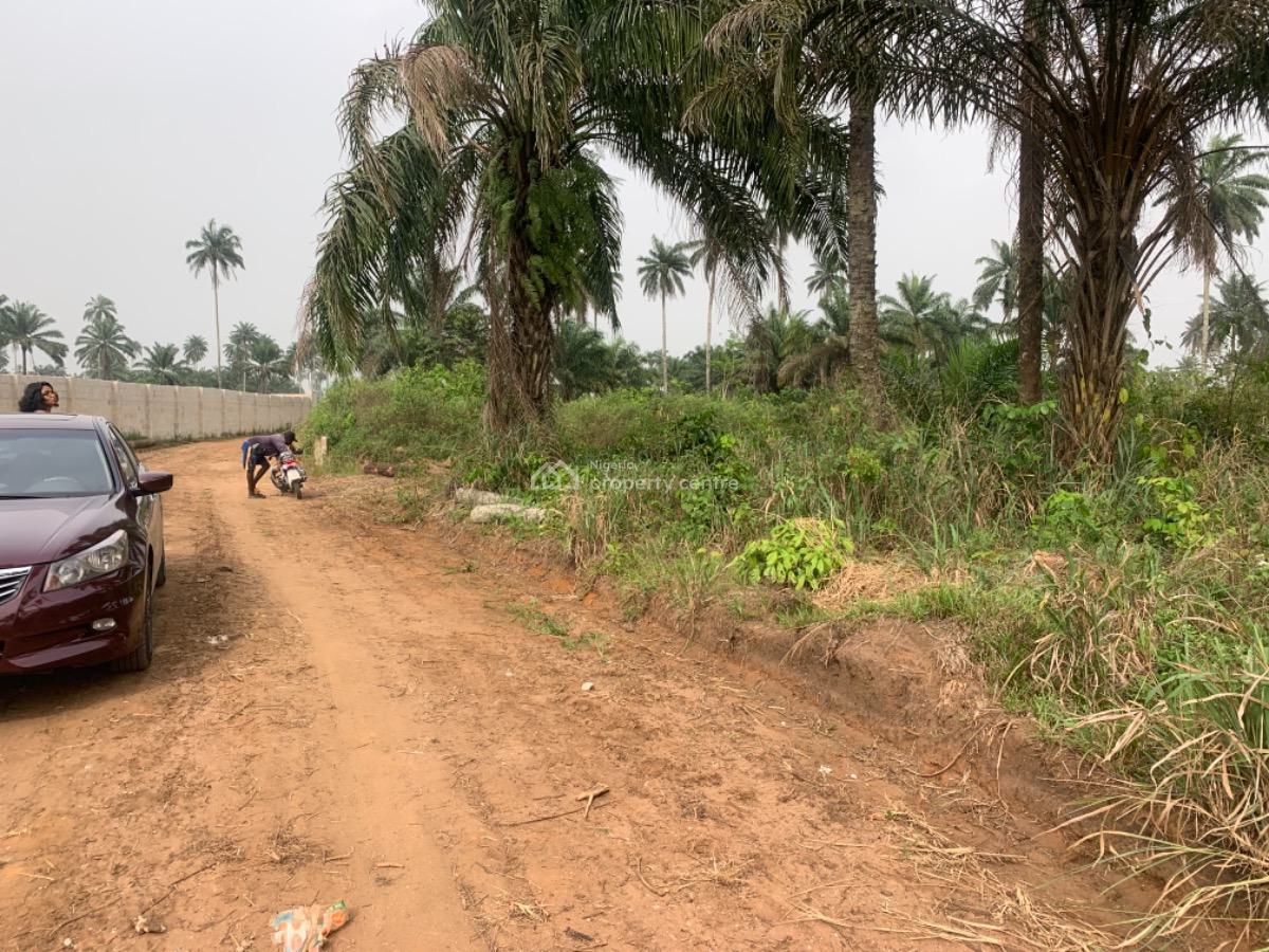 Three Plots of Land, Omagwa Near Port Harcourt, Port Harcourt, Rivers, Mixed-use Land for Sale