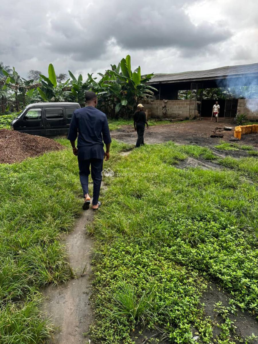 Plots of Land, Oil Palm-ayepe,odogbolu Lga, Ijebu Ode, Ogun, Commercial Land for Sale