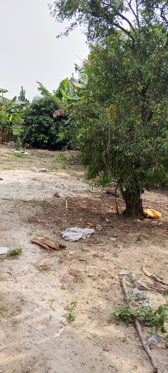 1 Acre of Land at Ayegbami Street, Ibeju Lekki, Ayegbami Street, 3 Minutes Away From The Expressway, Ibeju Lekki, Lagos, Mixed-use Land for Sale