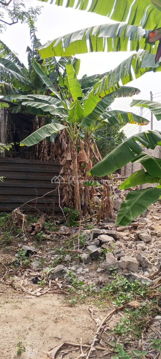 1 Acre of Land at Ayegbami Street, Ibeju Lekki, Ayegbami Street, 3 Minutes Away From The Expressway, Ibeju Lekki, Lagos, Mixed-use Land for Sale