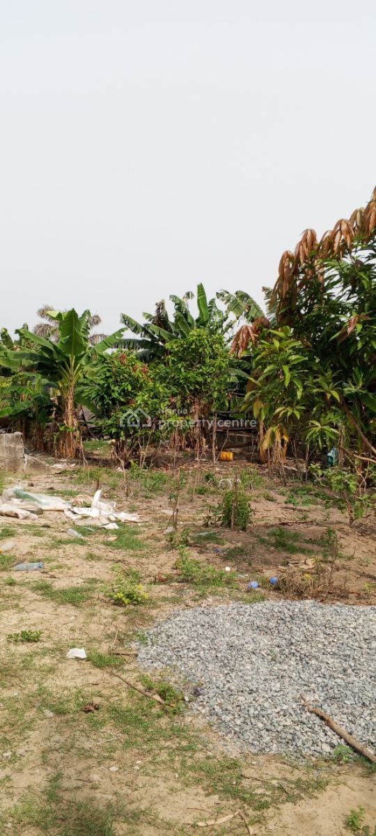 1 Acre of Land at Ayegbami Street, Ibeju Lekki, Ayegbami Street, 3 Minutes Away From The Expressway, Ibeju Lekki, Lagos, Mixed-use Land for Sale