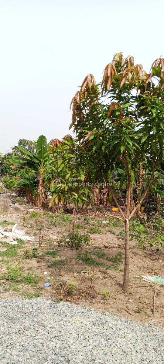 1 Acre of Land at Ayegbami Street, Ibeju Lekki, Ayegbami Street, 3 Minutes Away From The Expressway, Ibeju Lekki, Lagos, Mixed-use Land for Sale