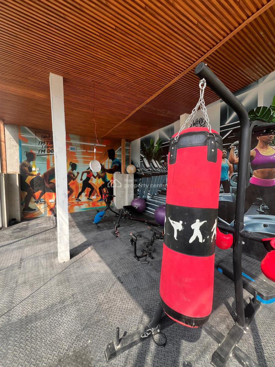 Luxurious 5 Bedroom Terrace Duplex with Bq, Luxurious 5 Bedroom Terrace Duplex with Bq, Ikoyi, Lagos, Terraced Duplex for Sale