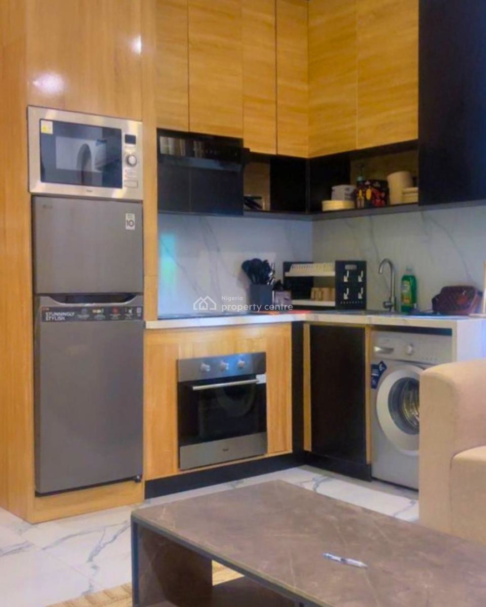 Just Available; Furnished 1 Bedroom Apartment with Elevator Swimming Pool and Gym, Ikoyi, Lagos, Mini Flat (room and Parlour) for Rent