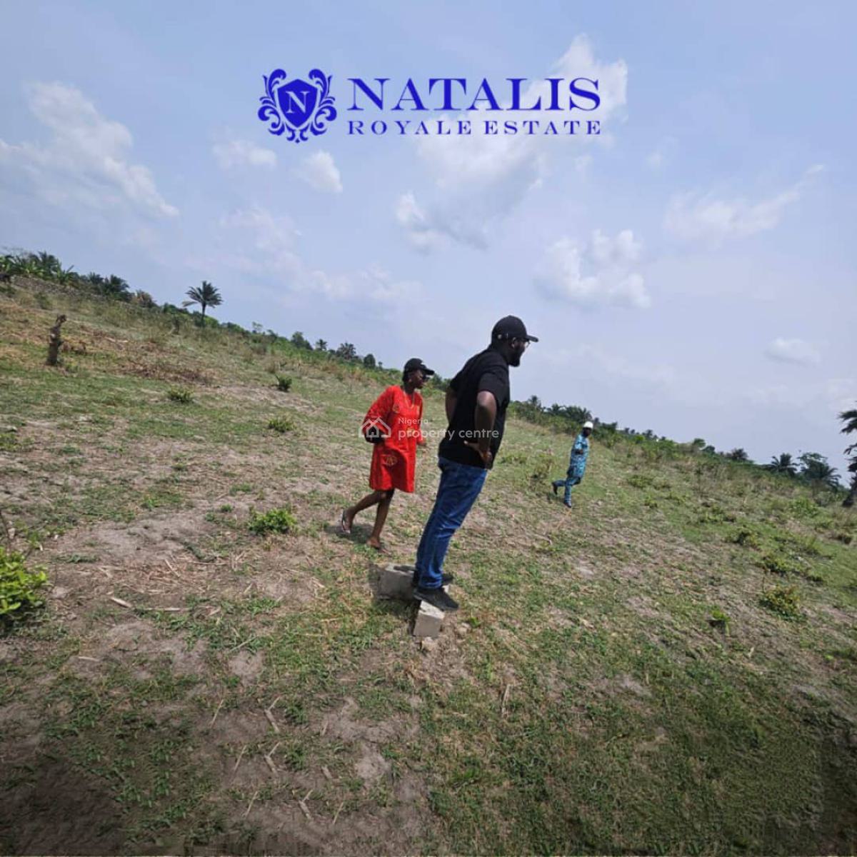 Affordable Land with Registered Survey, Natalis Royale Estate, Mowe Ofada, Ogun, Residential Land for Sale