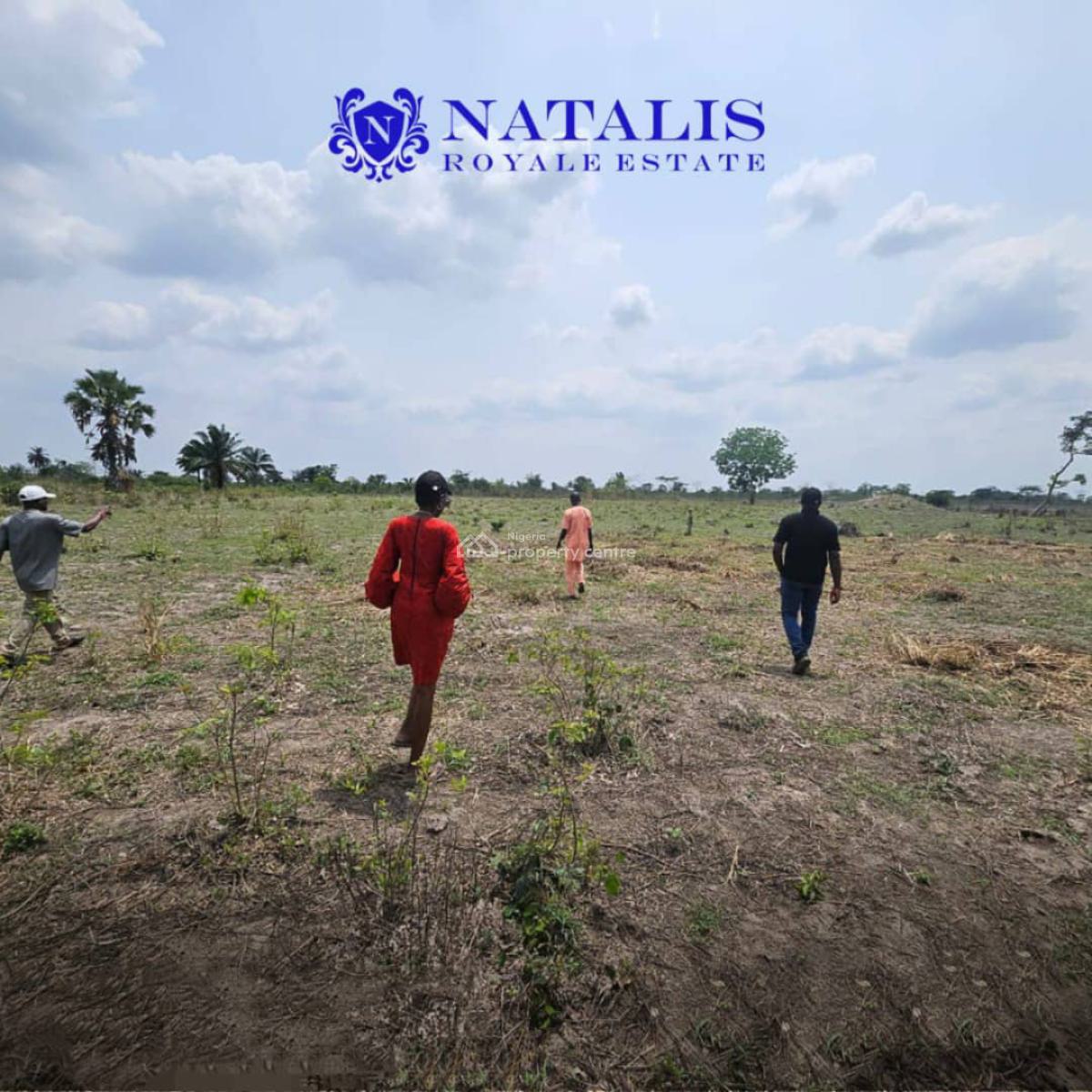 Affordable Land with Registered Survey, Natalis Royale Estate, Mowe Ofada, Ogun, Residential Land for Sale