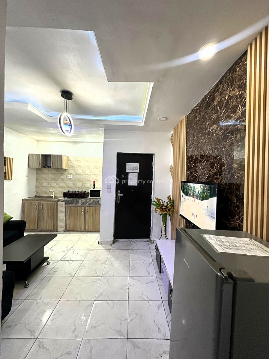 Fully Furnished and Serviced Luxury 1 Bedroom Apartment, Off Olufemi, By Ogunlana Drive, Surulere, Lagos, Mini Flat (room and Parlour) Short Let