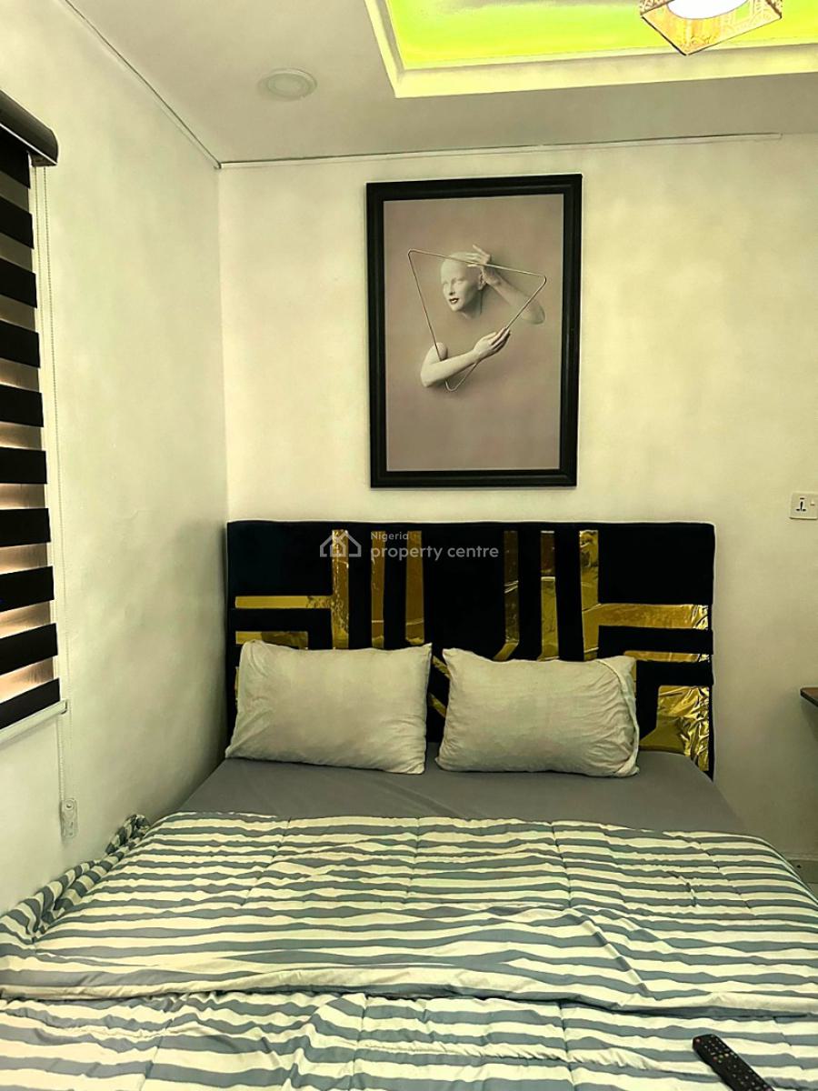 Fully Furnished and Serviced Luxury 1 Bedroom Apartment, Off Olufemi, By Ogunlana Drive, Surulere, Lagos, Mini Flat (room and Parlour) Short Let