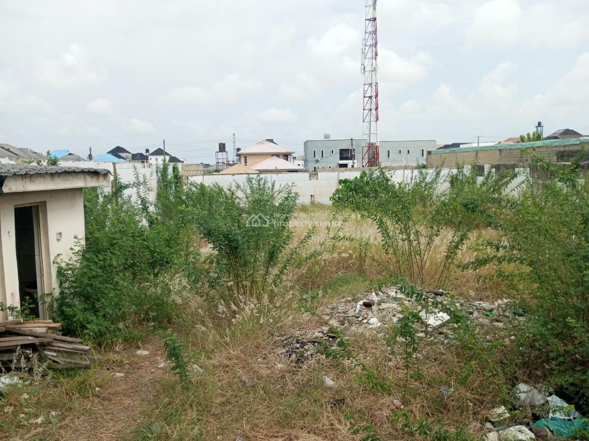 Commercial Land Half Plot Directly Facing The Road, Ado, Ajah, Lagos, Commercial Land for Rent