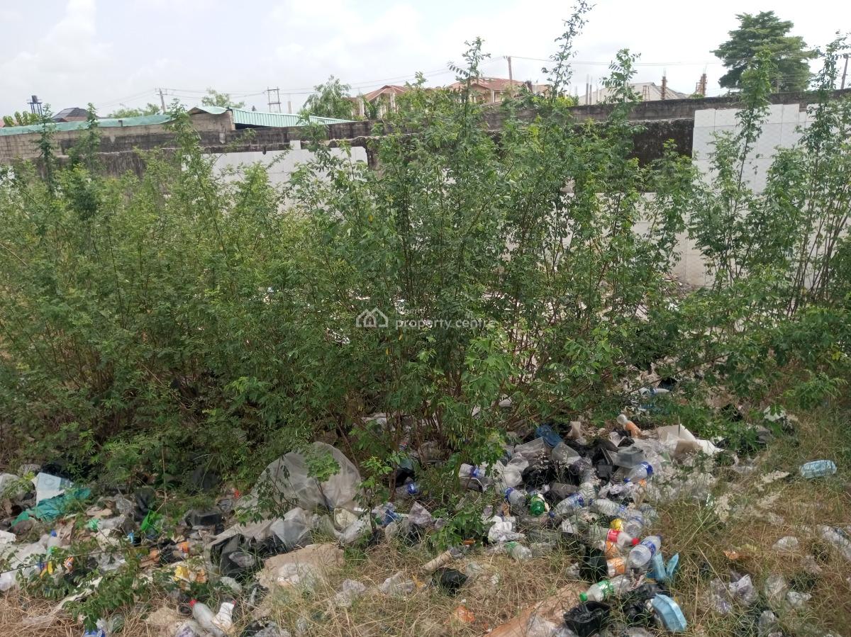 Commercial Land Half Plot Directly Facing The Road, Ado, Ajah, Lagos, Commercial Land for Rent