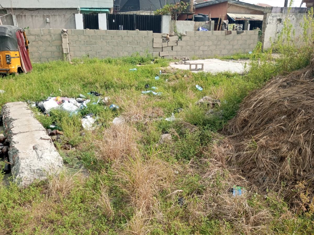 Commercial Plot of Land Directly Facing The Road, Ado, Ajah, Lagos, Commercial Land for Rent