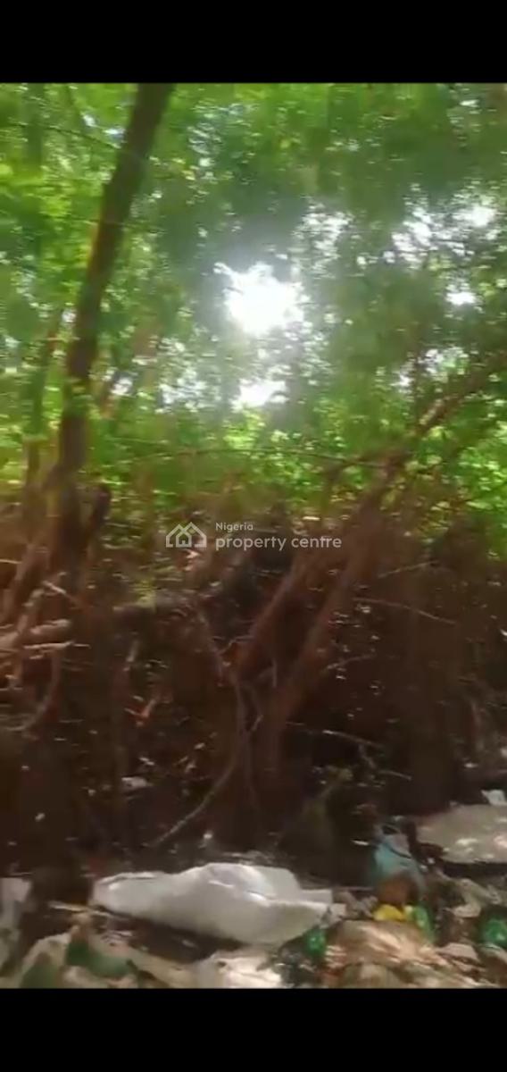 Good Return on Investment on This Land in a Good Location, Banana Island, Banana Island, Ikoyi, Lagos, Land Joint Venture