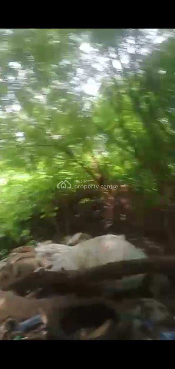 Good Return on Investment on This Land in a Good Location, Banana Island, Banana Island, Ikoyi, Lagos, Land Joint Venture