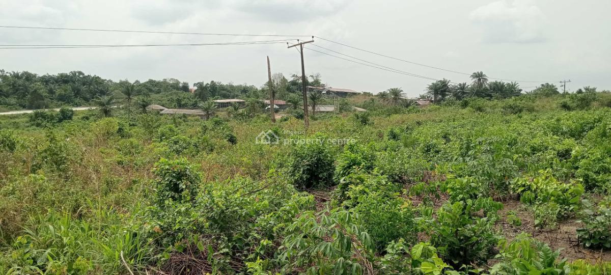 Land with Registered Survey and Deed of Assignments, De Pinnacles of Rubies Villa,ala Omu Ketu Epe Expressway, Ketu, Lagos, Mixed-use Land for Sale