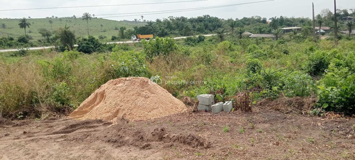 Geniune Land, De Pinnacles of Rubies Villa Omu Ketu, Ijebu Ode, Ogun, Mixed-use Land for Sale