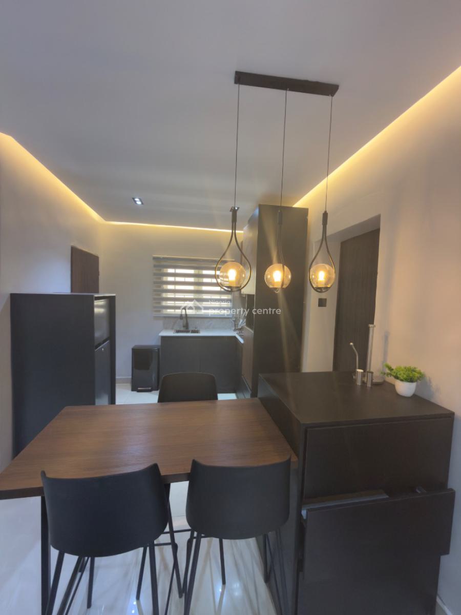 Luxury 2 Bedrooms Furnished Apartments with Generator, Wuye, Abuja, Flat / Apartment for Rent