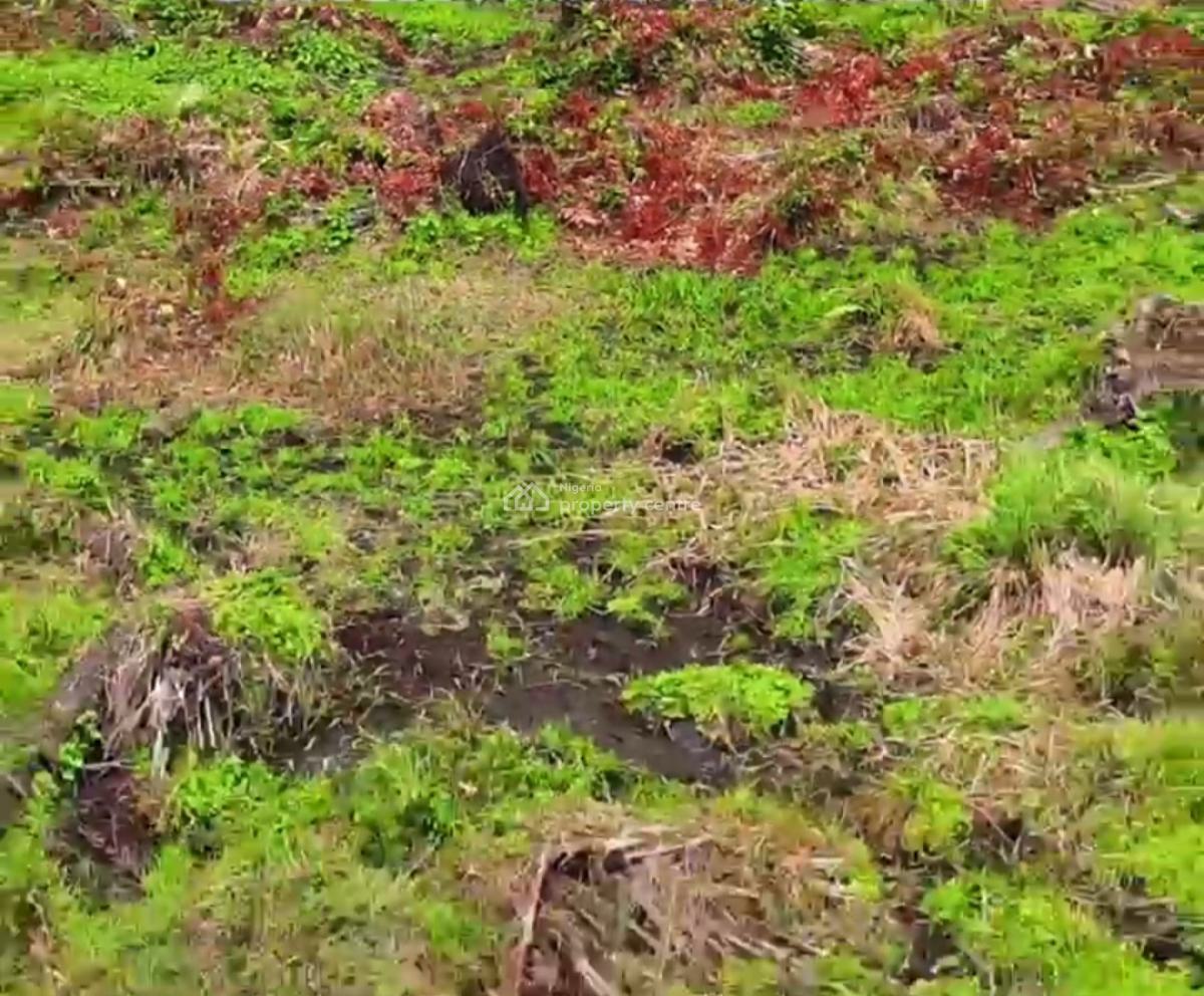 Commercial Lamd with Government Allocation/cofo, Downtown Lagos Commercial City Phase 2along Lekki Coastal Road Orimedu, Ibeju Lekki, Lagos, Commercial Land for Sale