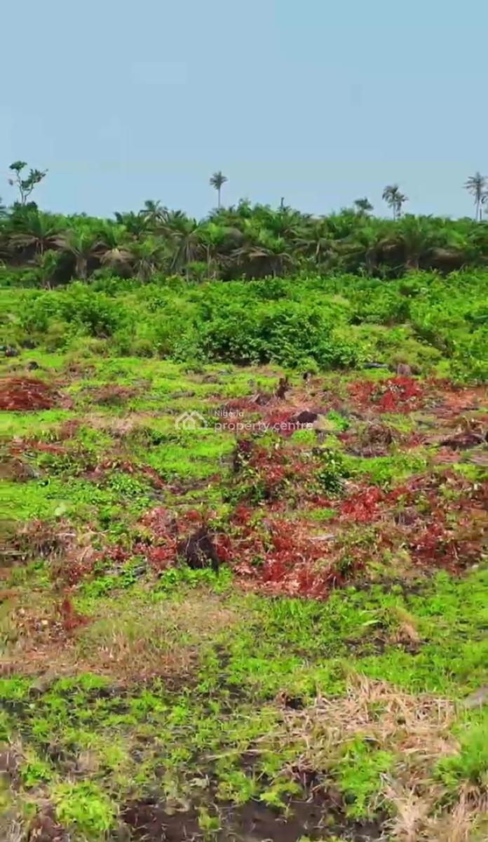 Commercial Lamd with Government Allocation/cofo, Downtown Lagos Commercial City Phase 2along Lekki Coastal Road Orimedu, Ibeju Lekki, Lagos, Commercial Land for Sale