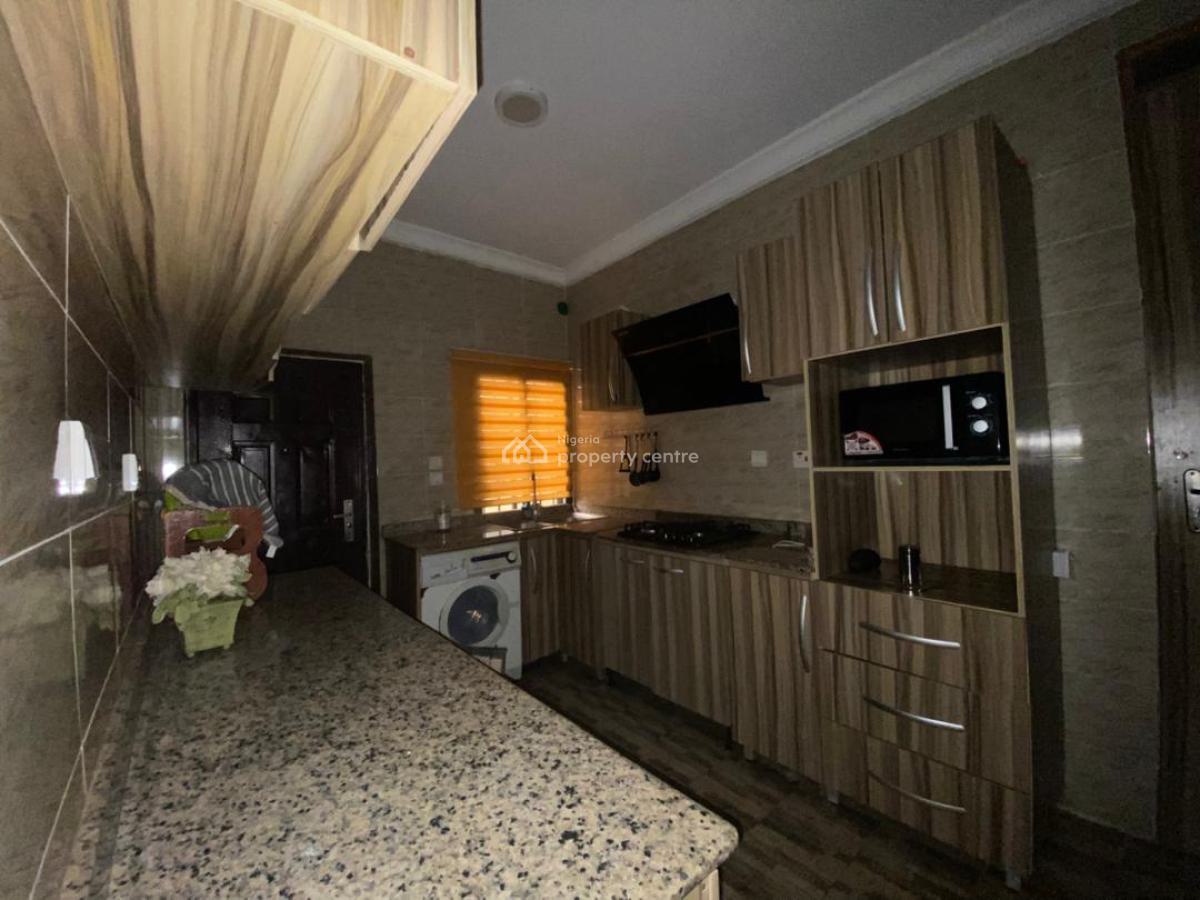 Fully Furnished 2 Bedroom Apartment, Ikate, Ikate, Lekki, Lagos, Flat / Apartment for Rent
