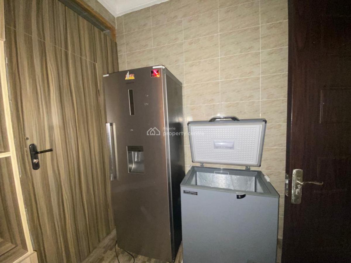 Fully Furnished 2 Bedroom Apartment, Ikate, Ikate, Lekki, Lagos, Flat / Apartment for Rent