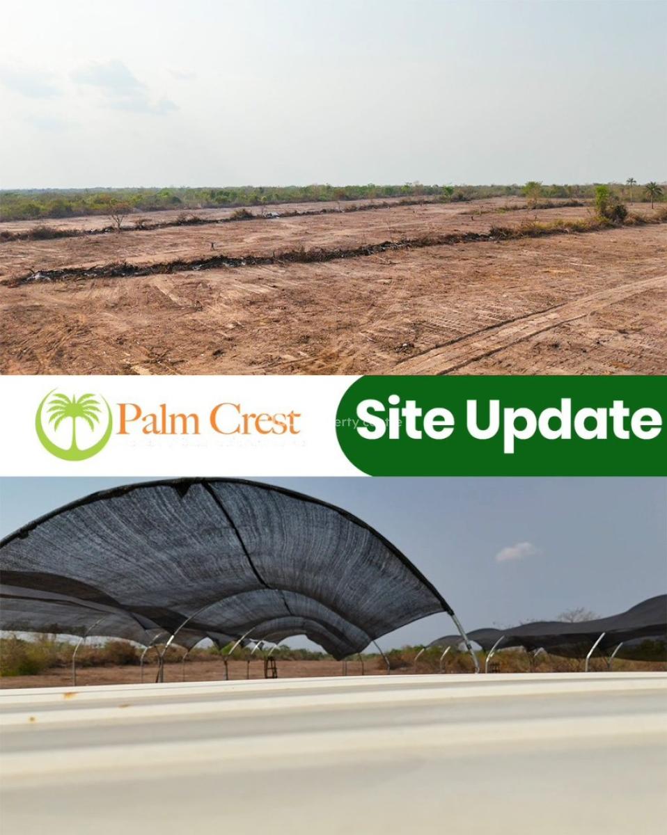 Own a Piece of Nigerias Thriving Palm Oil Industry, Palm Crest Phase 2,, Imeko Afon, Ogun, Commercial Land for Sale