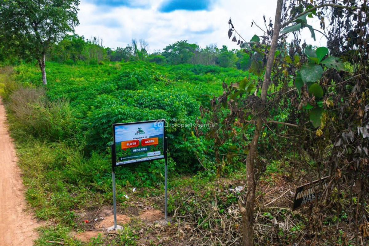 Acres and Hectares of Palm Oil Farmland in Odeda Lga, Abeokuta Axis, Odeda, Ogun, Land for Sale