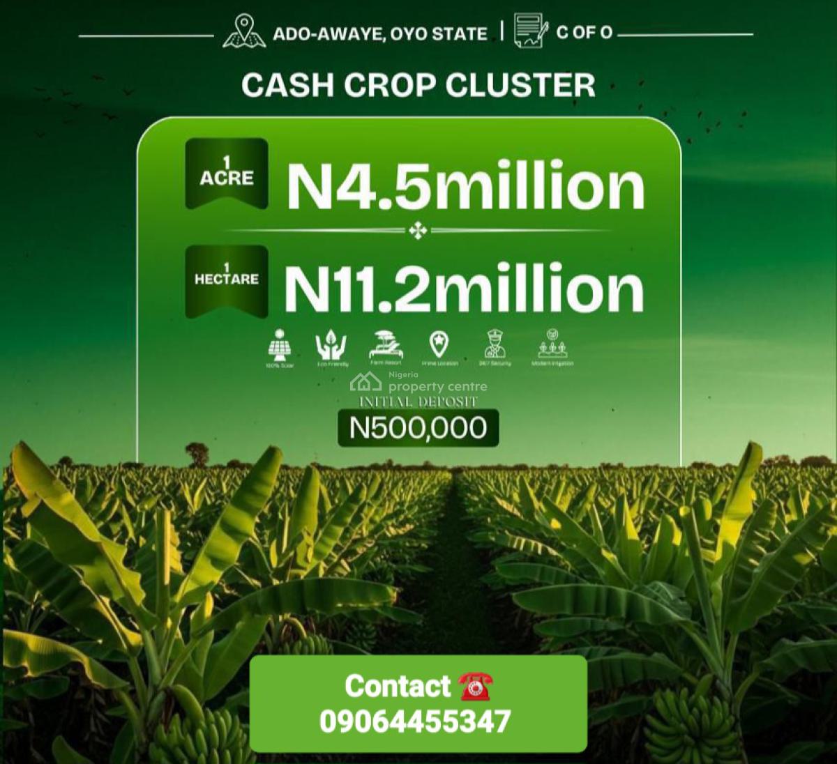 C of O Acres and Hectares of Cashcrop Farmland, Ado-awaye, Iseyin, Oyo, Land for Sale