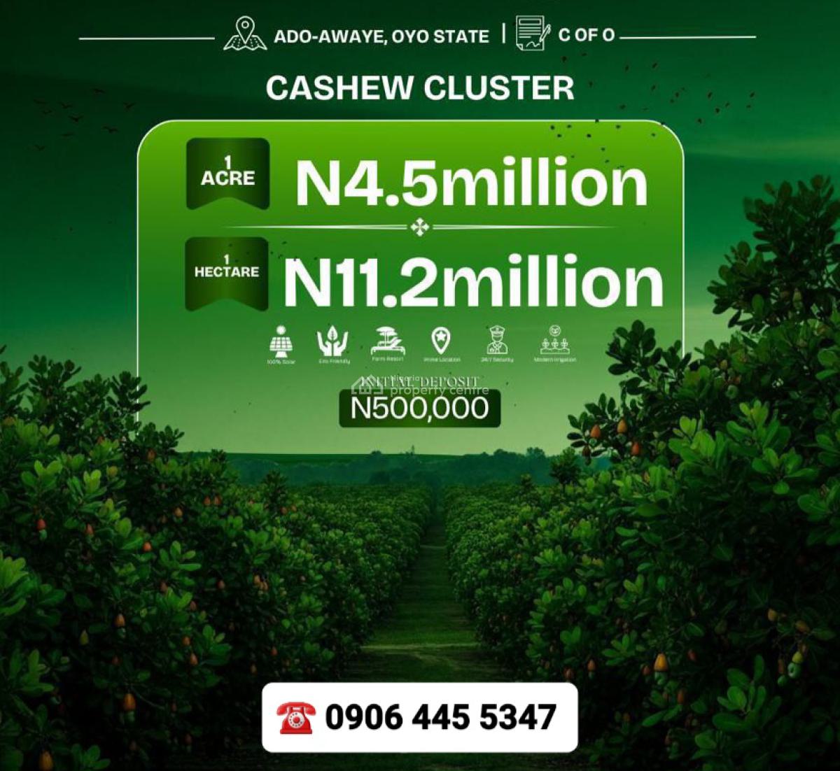 C of O Acres and Hectares of Cashcrop Farmland, Ado-awaye, Iseyin, Oyo, Land for Sale