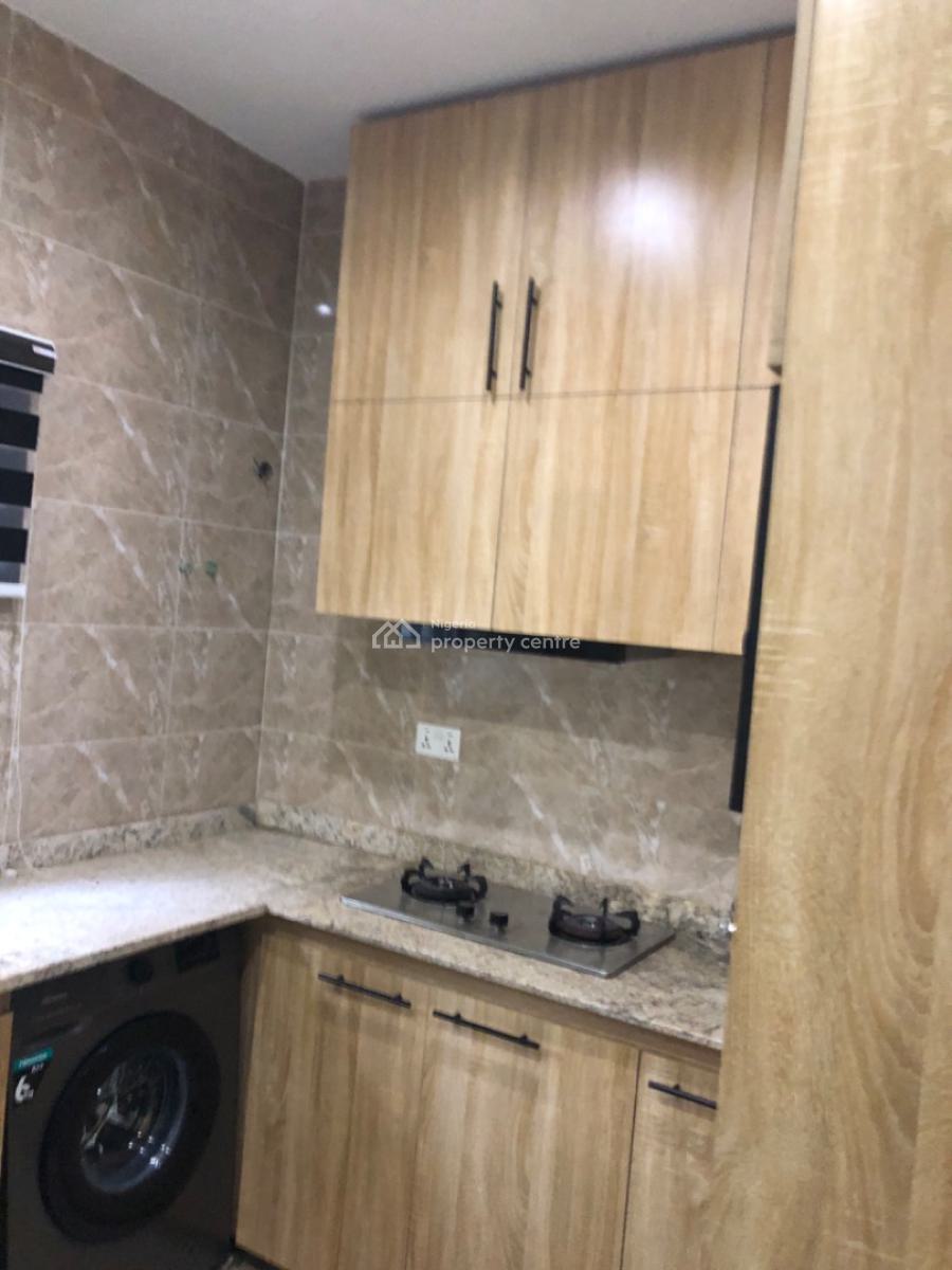 Executive Fully Finished 2 Bedroom Apartment, Off Ishaga Surulere, Surulere, Lagos, House for Rent