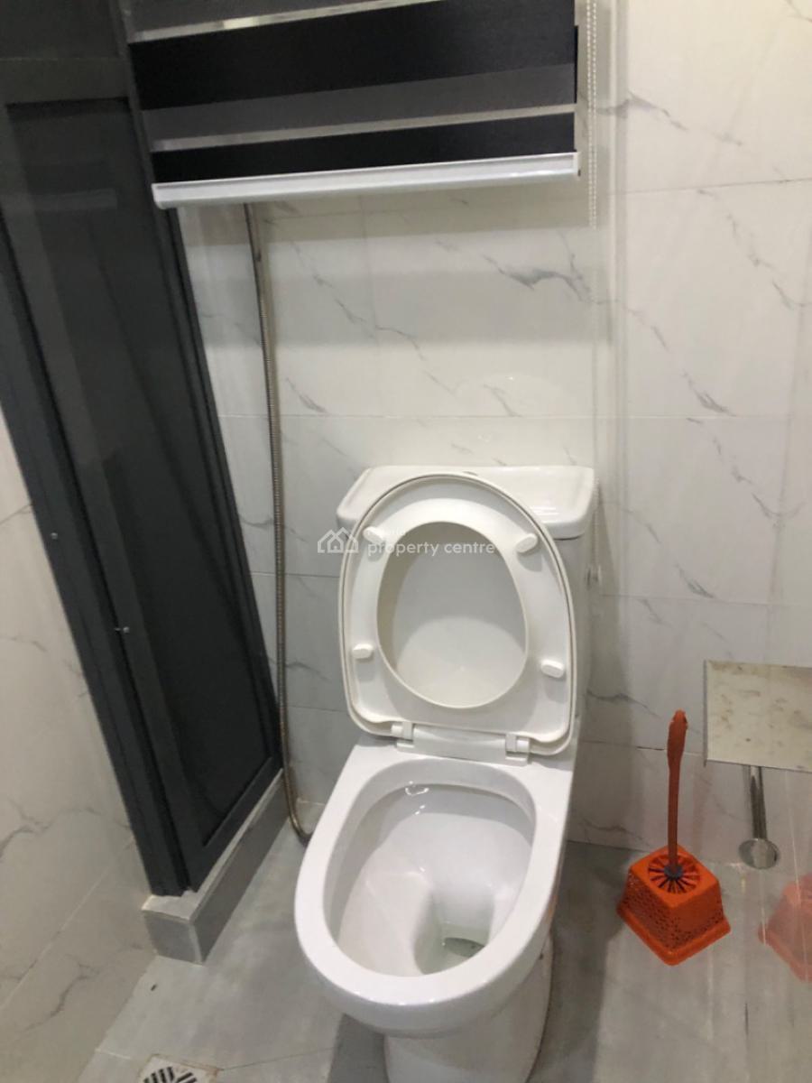 Executive Fully Finished 2 Bedroom Apartment, Off Ishaga Surulere, Surulere, Lagos, House for Rent