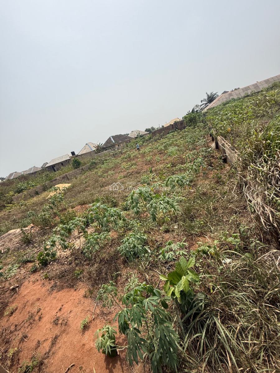 a Genuine Full Plot of Land, Adamo, Ikorodu, Lagos, Land for Sale