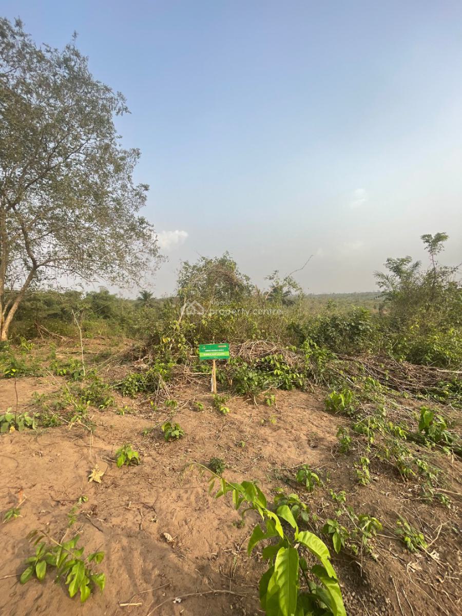 Tomato Farm Land Available, Ayireke Village, Alabata, Odeda, Ogun, Mixed-use Land for Sale