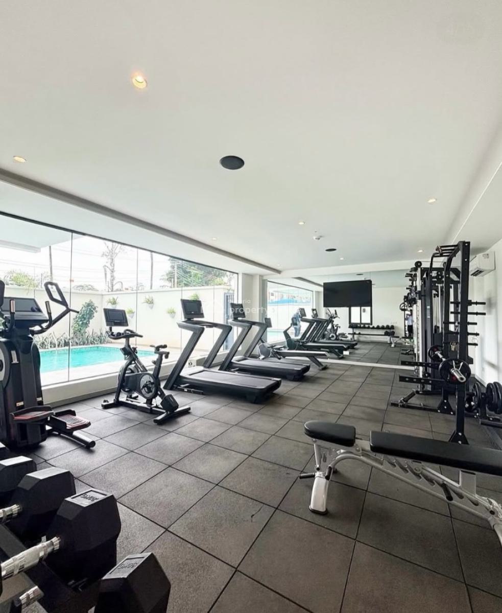 New and Serviced with 24/7 Power Supply 3 Bedroom En-suite Luxurious F, Ikoyi, Lagos, Flat / Apartment for Rent