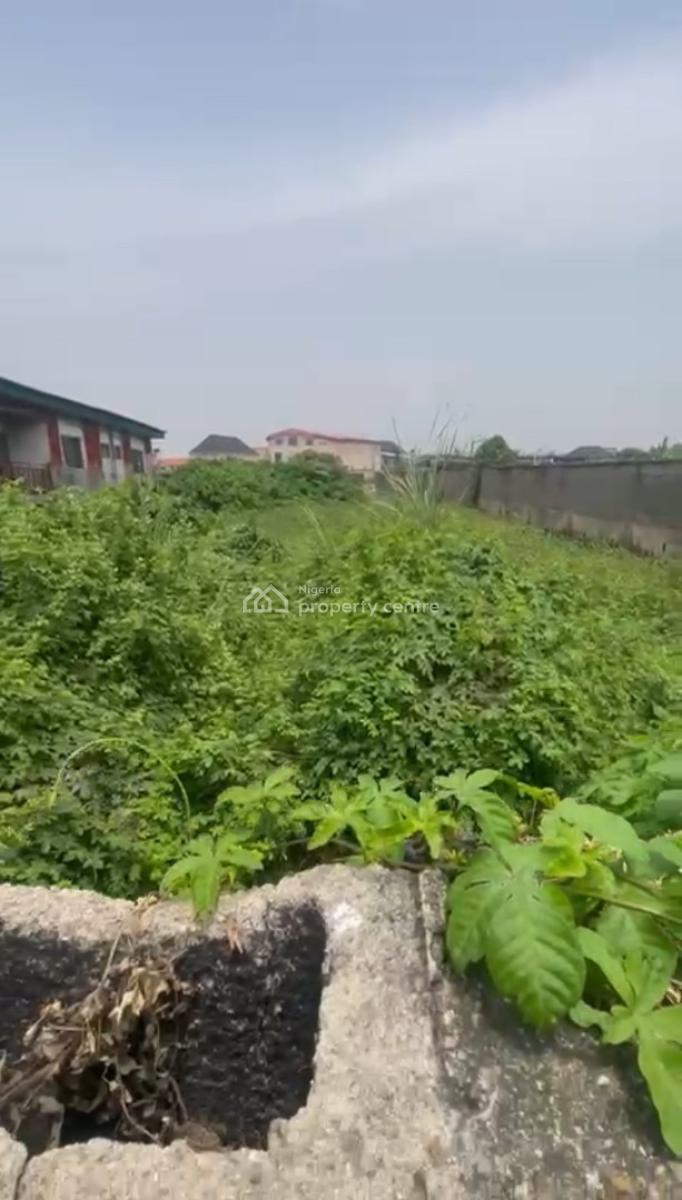 a Virgin Bareland, Akoka, Yaba, Lagos, Mixed-use Land for Sale