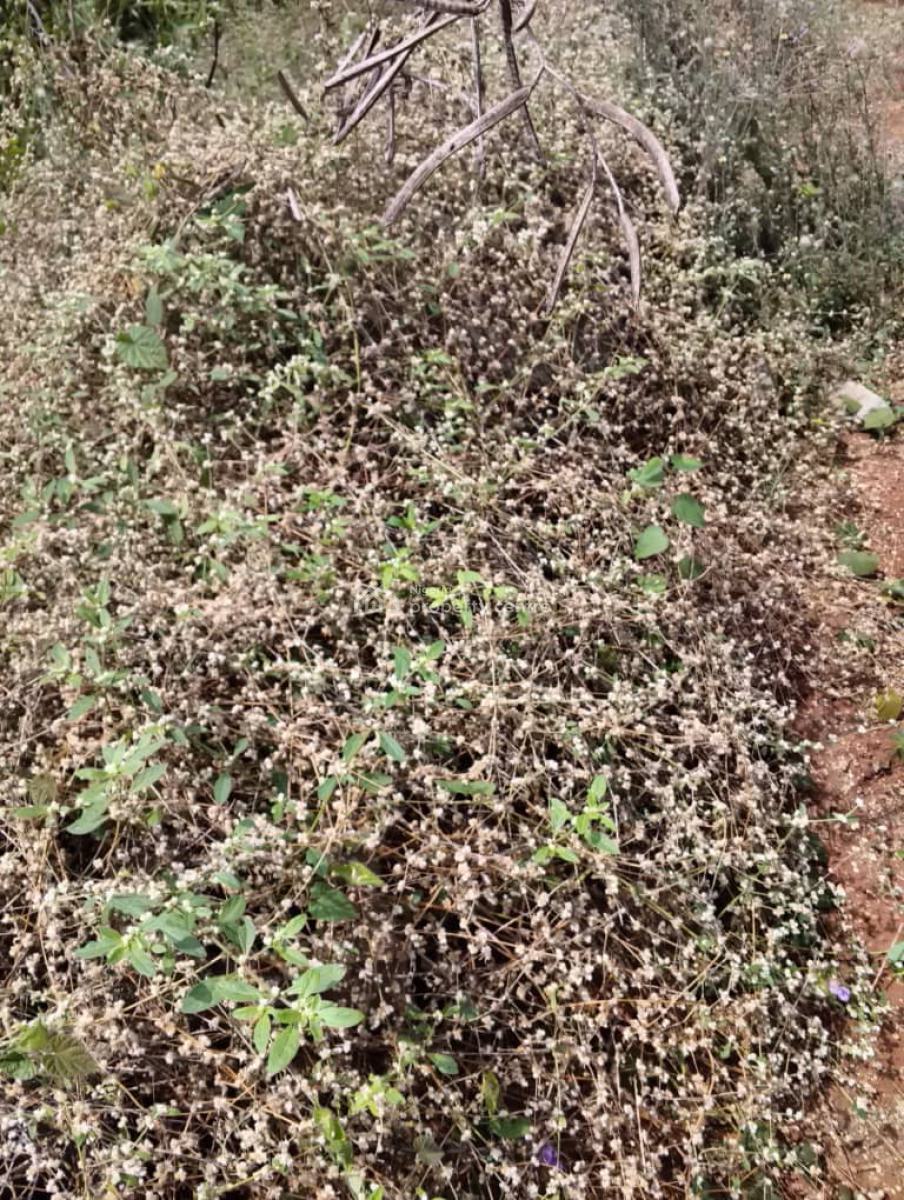 Genuine Land, Odudu Estate, Igbogbo, Ikorodu, Lagos, Residential Land for Sale