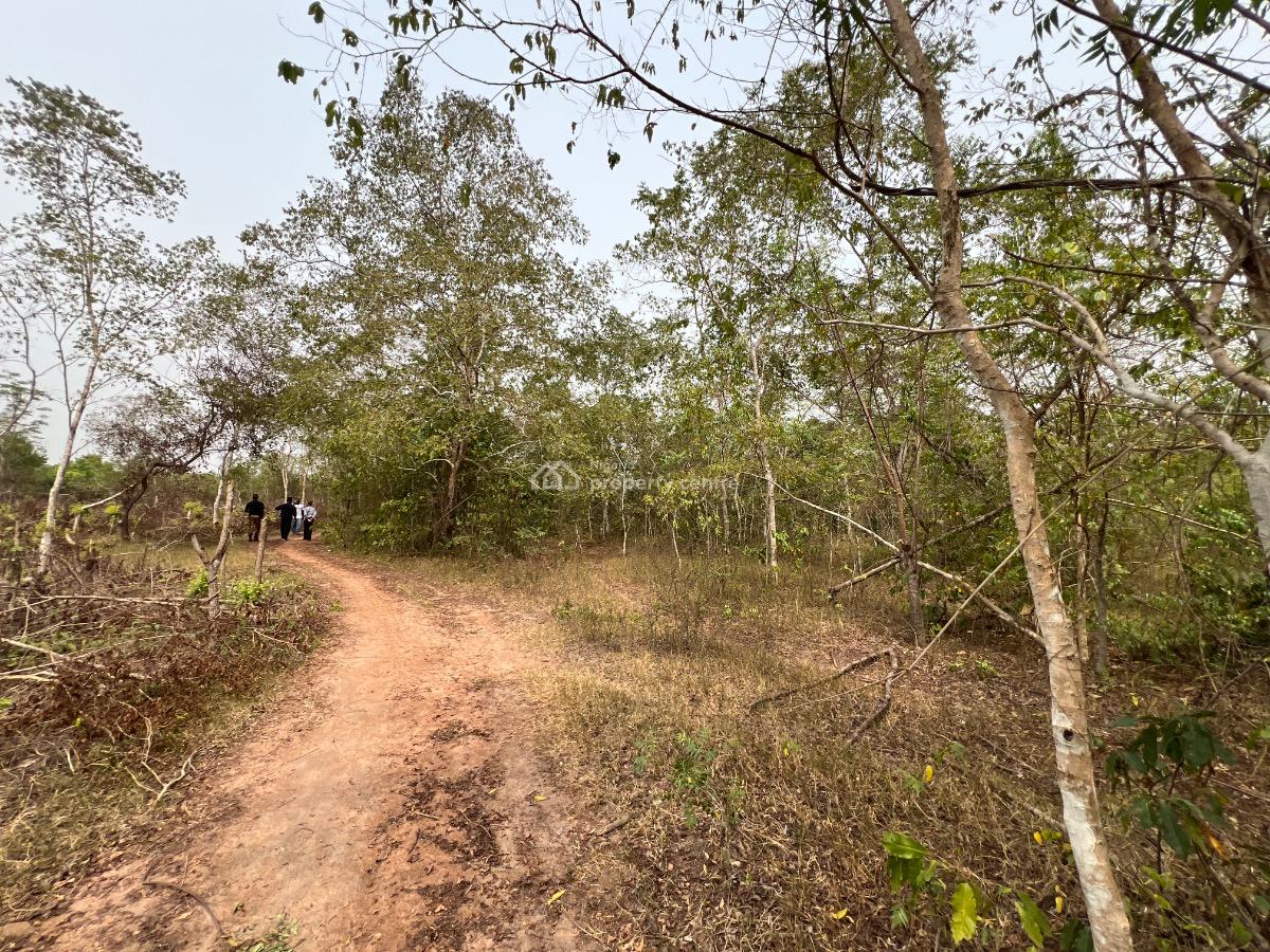 Make a Fortune From Agriculture Without Lifting a Finger, Own Acre of Fertile Farmland Close to Funaab.start with 500k Deposit, Abeokuta North, Ogun, Land for Sale