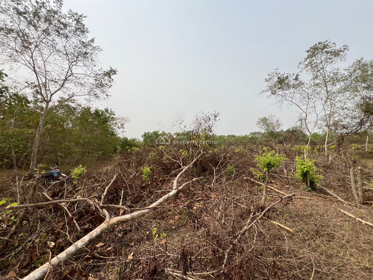 Make a Fortune From Agriculture Without Lifting a Finger, Own Acre of Fertile Farmland Close to Funaab.start with 500k Deposit, Abeokuta North, Ogun, Land for Sale