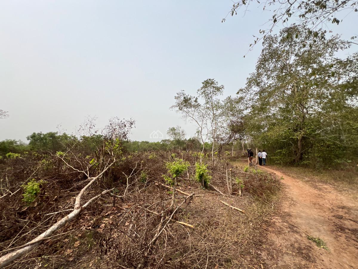 Make a Fortune From Agriculture Without Lifting a Finger, Own Acre of Fertile Farmland Close to Funaab.start with 500k Deposit, Abeokuta North, Ogun, Land for Sale