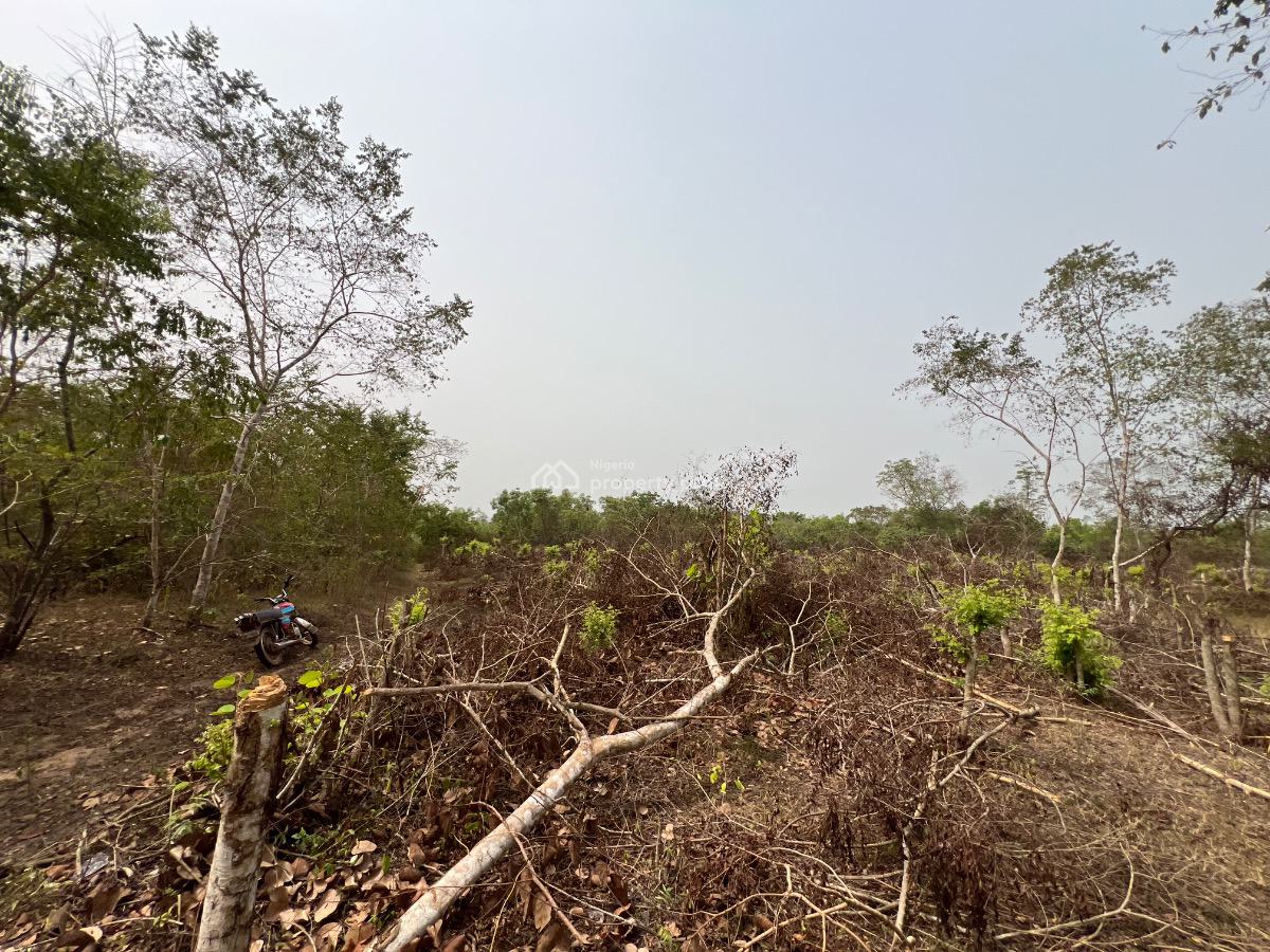 Make a Fortune From Agriculture Without Lifting a Finger, Own Acre of Fertile Farmland Close to Funaab.start with 500k Deposit, Abeokuta North, Ogun, Land for Sale