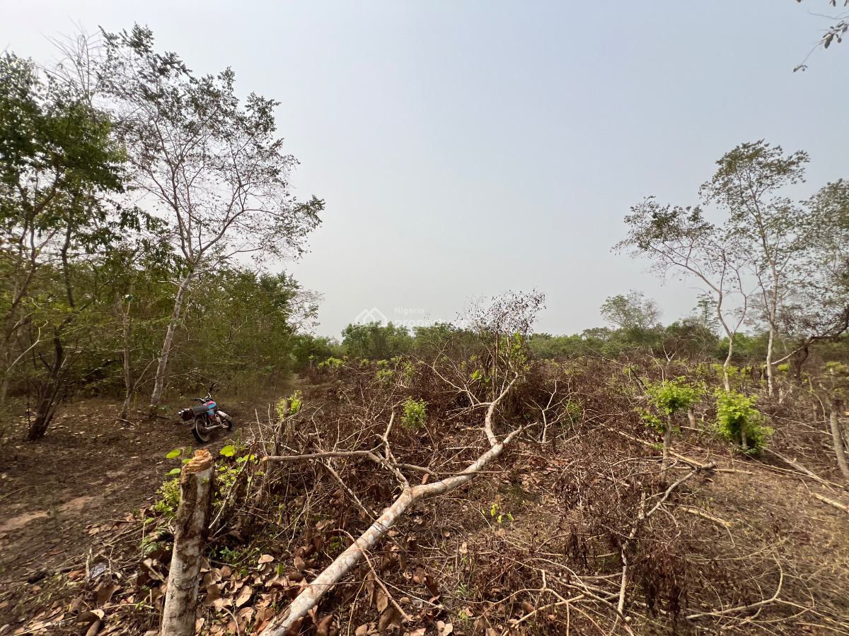 Make a Fortune From Agriculture Without Lifting a Finger, Own Acre of Fertile Farmland Close to Funaab.start with 500k Deposit, Abeokuta North, Ogun, Land for Sale