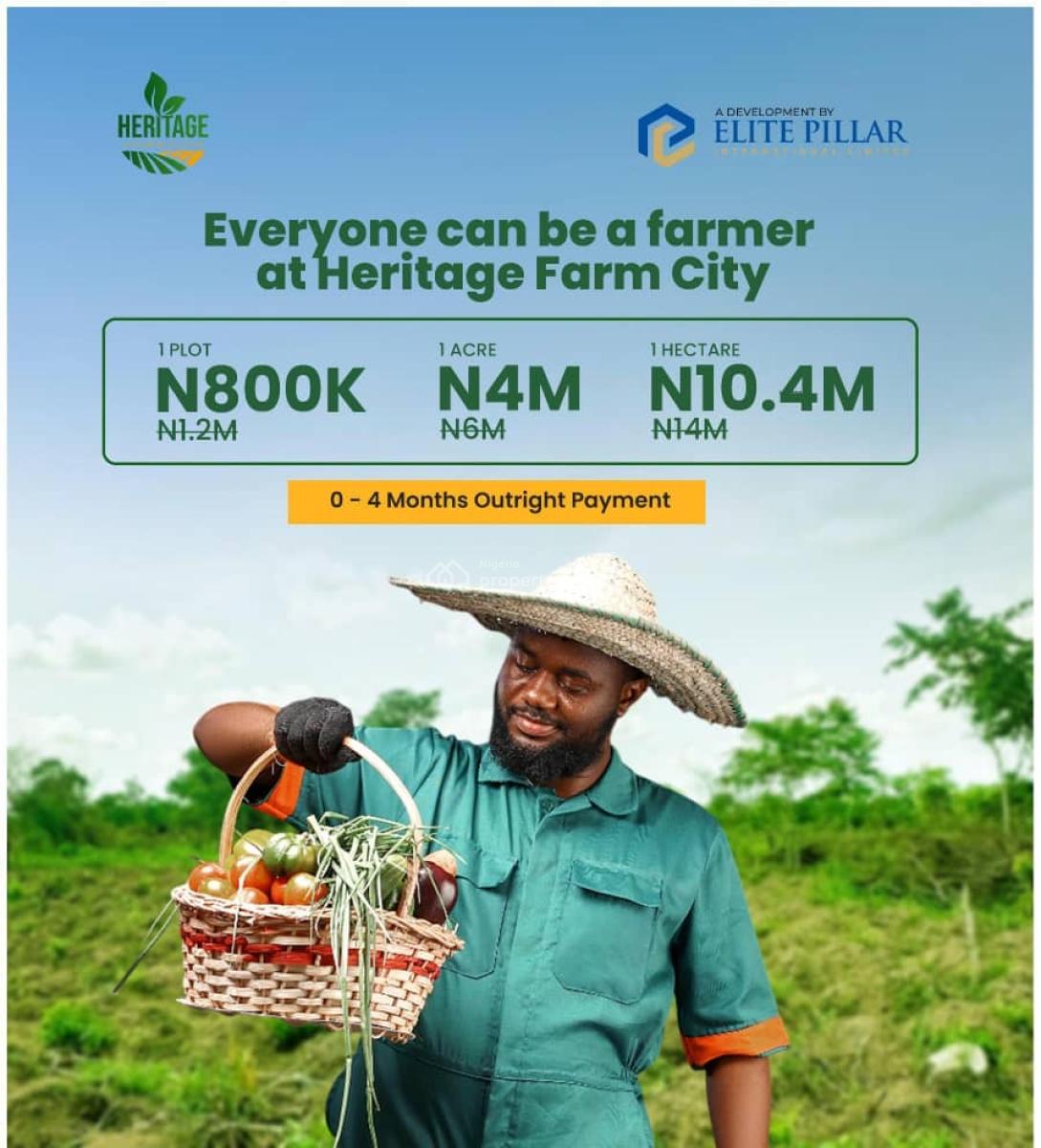 Fertile Farmland with a Discount Offer and a Flexible Payment Plan, Abeokuta South, Ogun, Land for Sale