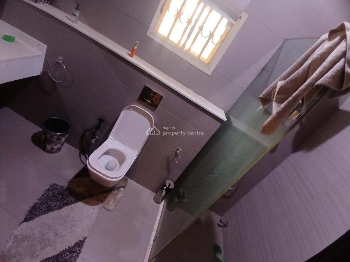 Fully Furnished 6 Bedroom Mansion with Swimming Pool, Diplomatic Zone, Asokoro District, Abuja, Detached Duplex for Rent