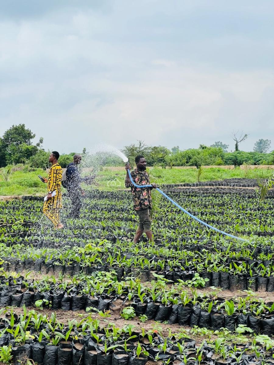 Oil Palm and Plantain Estate Farming in Abeokuta Ogun State, 25 Minutes Drive to Funaab Abeokuta Ogun State, Abeokuta North, Ogun, Commercial Land for Sale