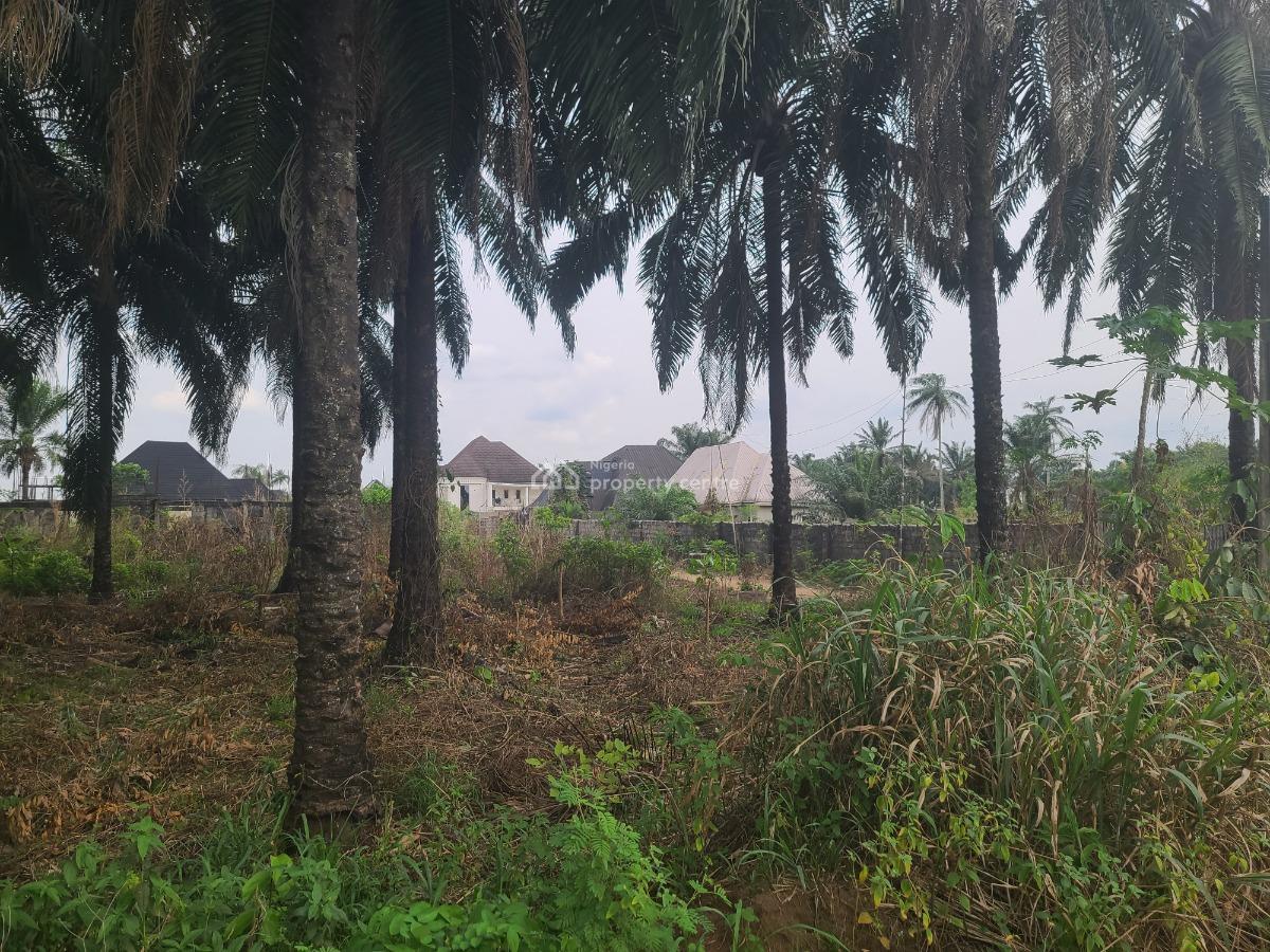 2 Plot of Land at Avu Off Port Harcourt Road, Avu Off Port Harcourt Road Owerri, Avu, Owerri West, Imo, Residential Land for Sale