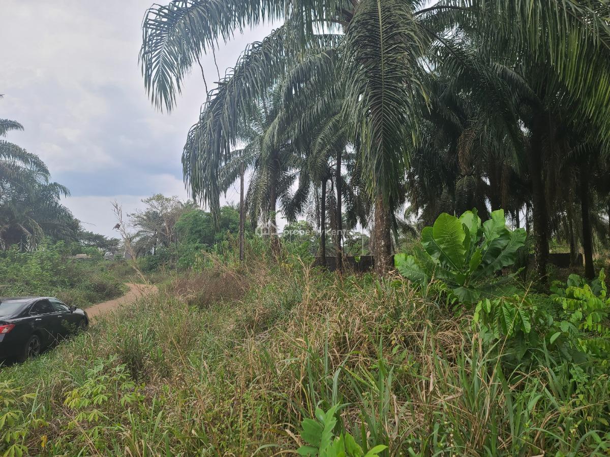 2 Plot of Land at Avu Off Port Harcourt Road, Avu Off Port Harcourt Road Owerri, Avu, Owerri West, Imo, Residential Land for Sale
