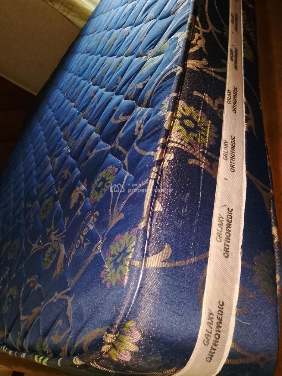 Fully Furnished 5 Bedroom Duplex with Bq, Peninsula Garden Estate, Sangotedo, Ajah, Lagos, Detached Duplex for Rent