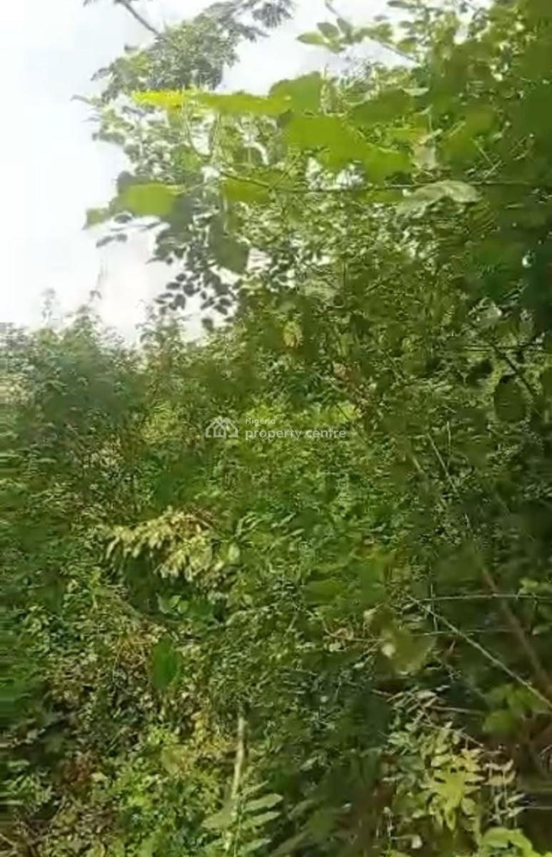 Dry Land Measuring 2,267sqms, Ocean Palm Estate, Sangotedo, Ajah, Lagos, Residential Land for Sale