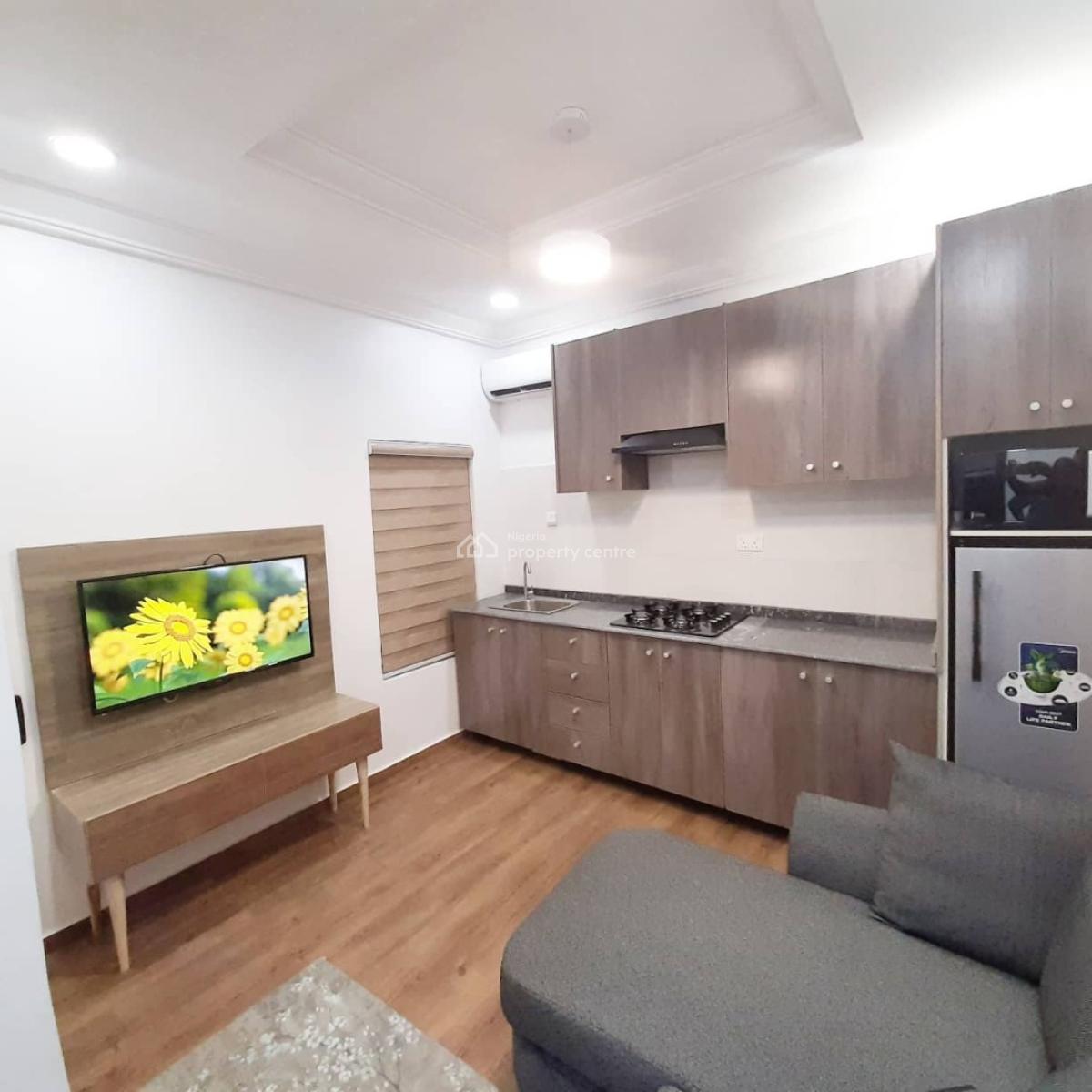 Nicely Furnished 1 Bedroom Apartment, Wuse 2, Abuja, Mini Flat (room and Parlour) Short Let